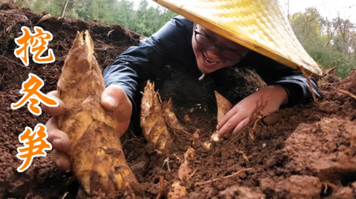 3小伙花6小时挑战挖冬笋！挖到一半竟挖出一个宝，吓得急忙后退！