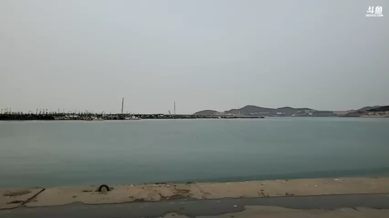 【2022-01-12 16点场】威海大叔：风里雨里，海鲜走起～