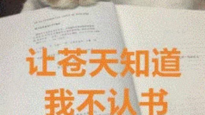 一些杂七杂八的唠叨