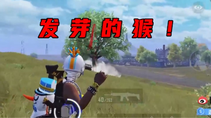 【老大贤】看我一颗雷送你上西天！