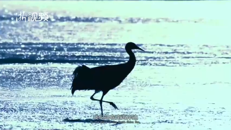 【2022-01-13 09点场】浙江日报直播室：来美术馆和意大利雕塑来一次静谧的凝视