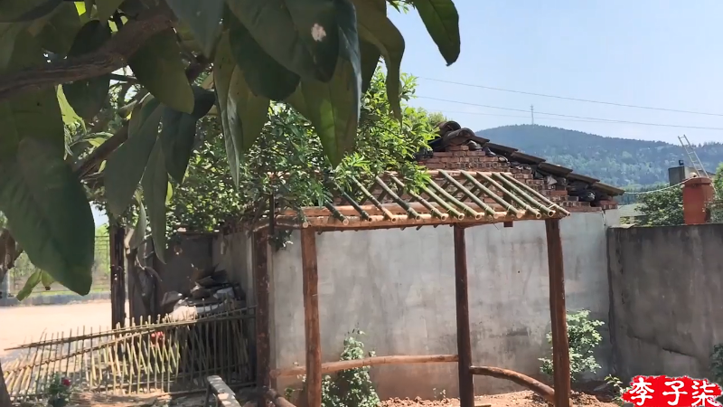 【美食】李子柒liziqi的精彩时刻 20220113 01点场