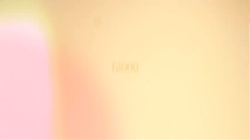F2000突击步枪