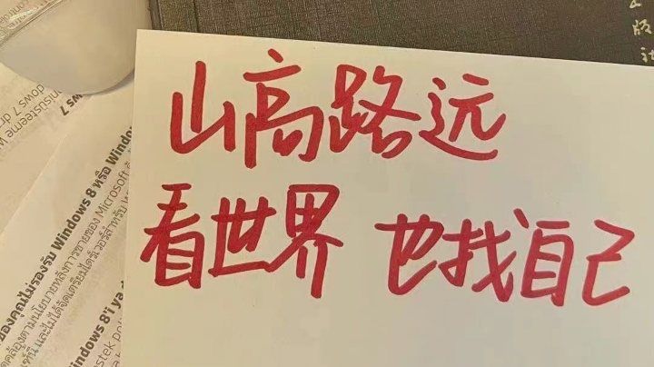 今天还是保护队友的辅王