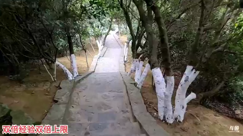 【2022-01-10 14点场】叶子户外：《纪实直播》泉州南安市→【杭州到厦门】