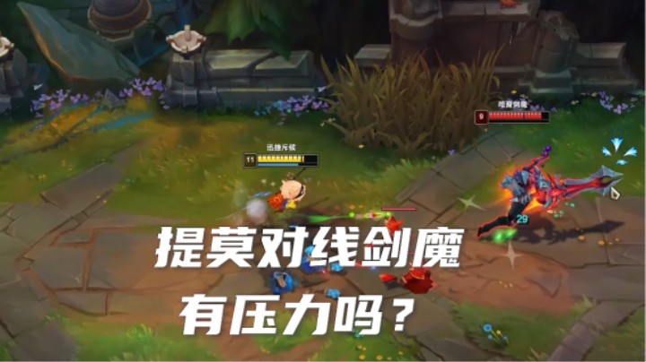 就问你们见过提莫堵泉水嘛？