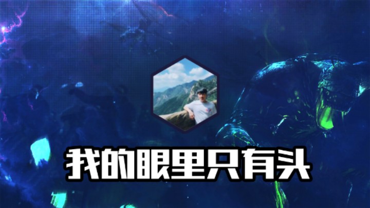 我的眼里只有头