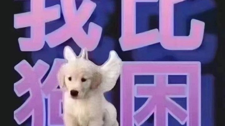 其实我闭嘴不说话还是挺淑女的