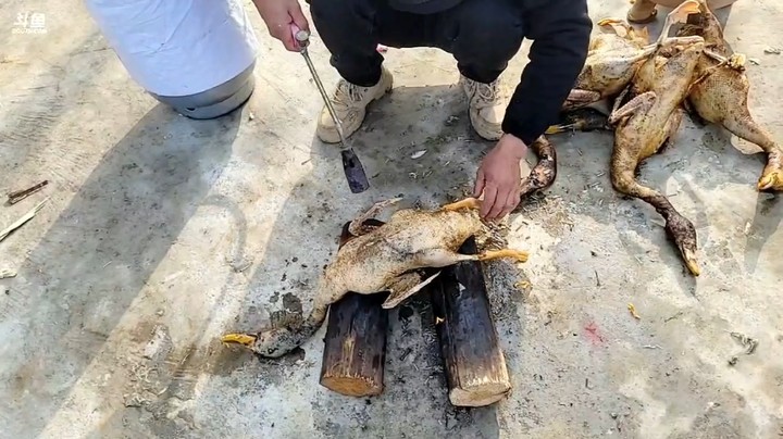 烤鸭毛，准备吃鸭，美滋滋啊
