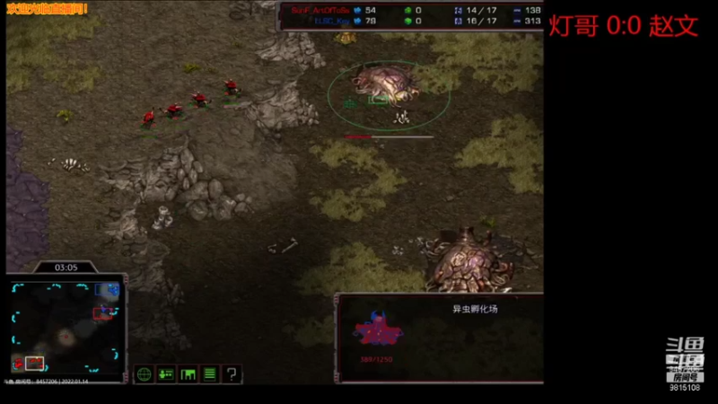 灯哥Free VS LLSC_Key赵文 ZvP BO5点播赛