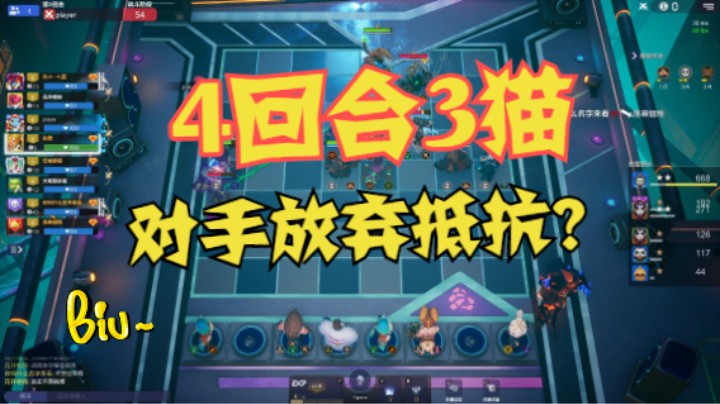 什么是天选之子？4回合3猫可谓也
