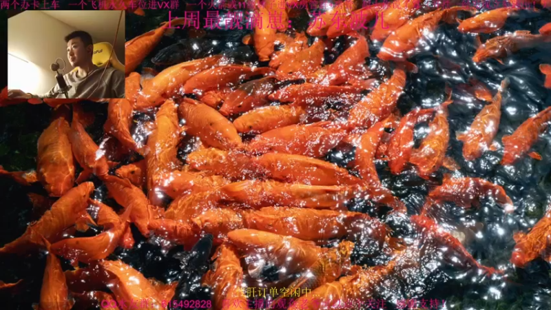 【2022-01-12 21点场】主播世贤：世贤