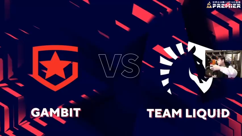 【alex卞正伟】：GAMBIT vs TL