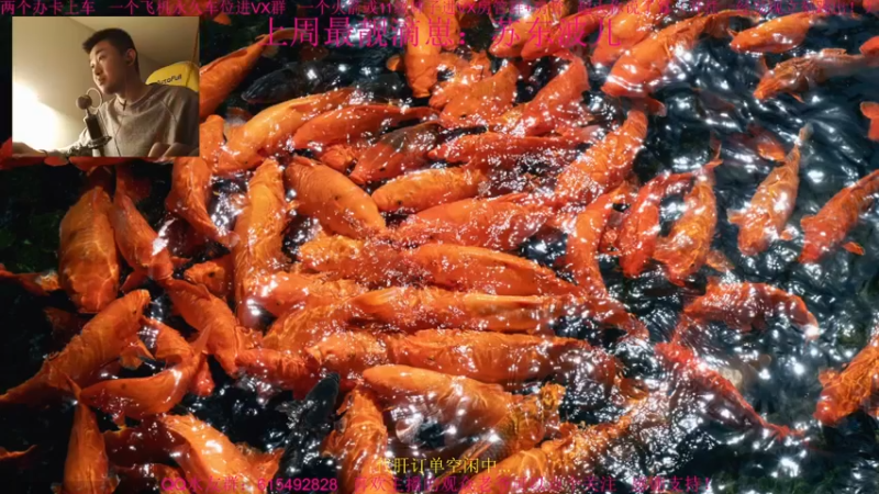 【2022-01-12 18点场】主播世贤：世贤正能量~