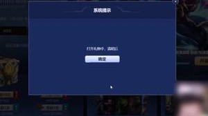 兄弟们 我怀疑他们两个用完了我的运气