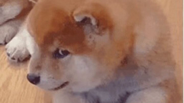 777