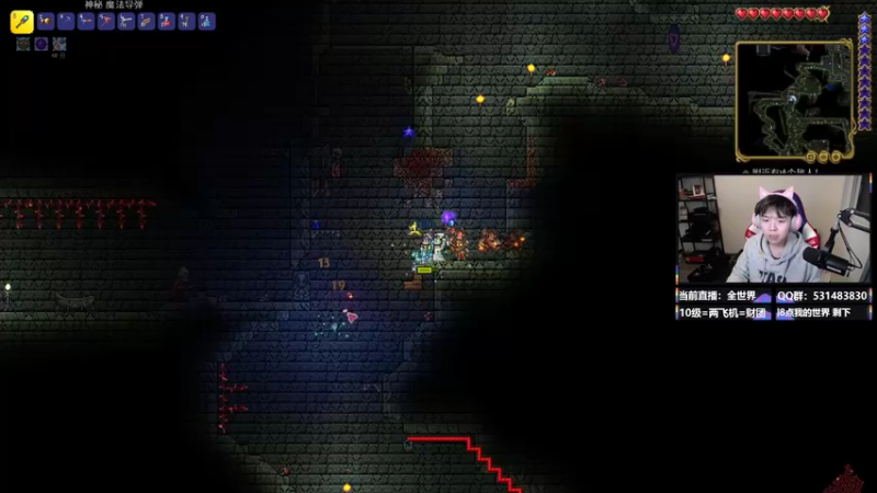 【2022-01-10 23点场】丨绅士瑄丨：1.16.5巨量模组冒险！