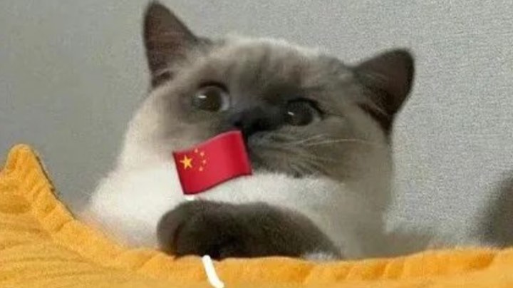 阿里第一届lolm比赛录像
