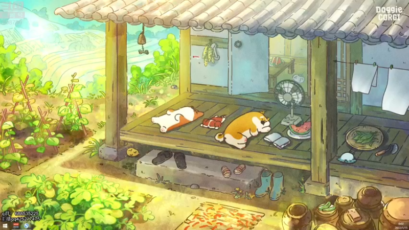 【2022-01-15 00点场】兮饭锐雯：乱斗小王子来啦 108780