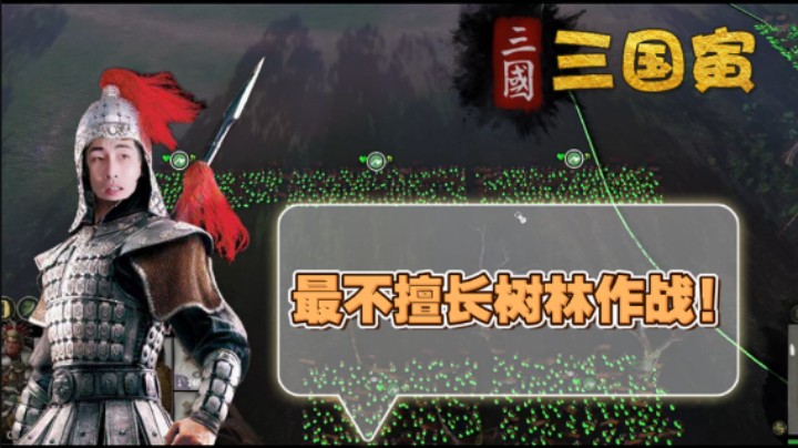 【三国寅Ⅳ】看看俺这排兵布阵！