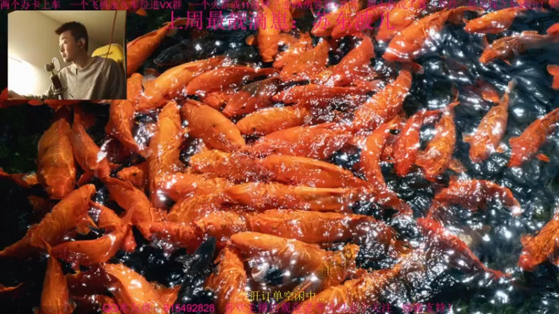 【2022-01-14 17点场】主播世贤：世贤正能量~