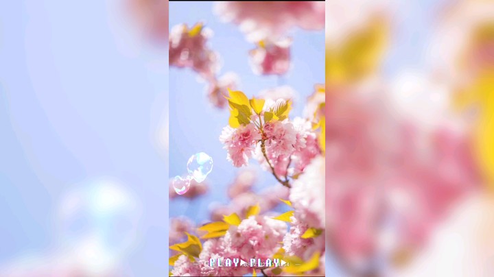 明晚9点 恳求大家来支持一下
特此附上没有感情的机器人唱歌视频[弱鸡隔离]
7787623等你们哦✌