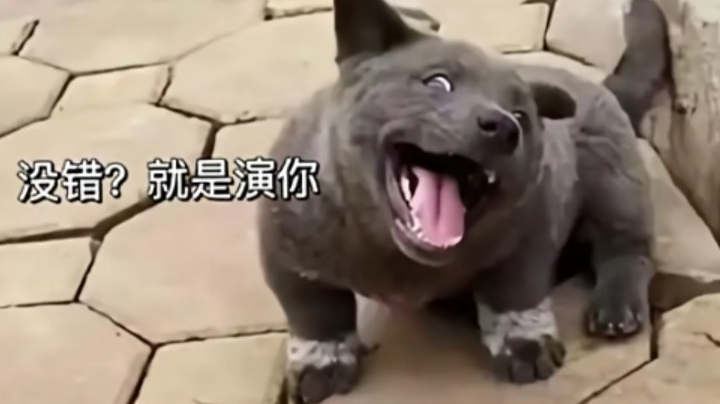 演员的自我修养