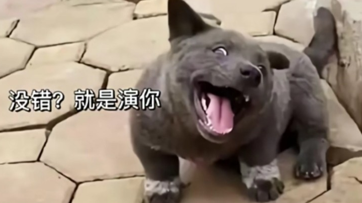 演员的自我修养
