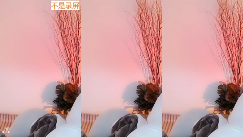 【2022-01-15 12点场】Sa叁儿：我相信会有那一束光，只为我点亮