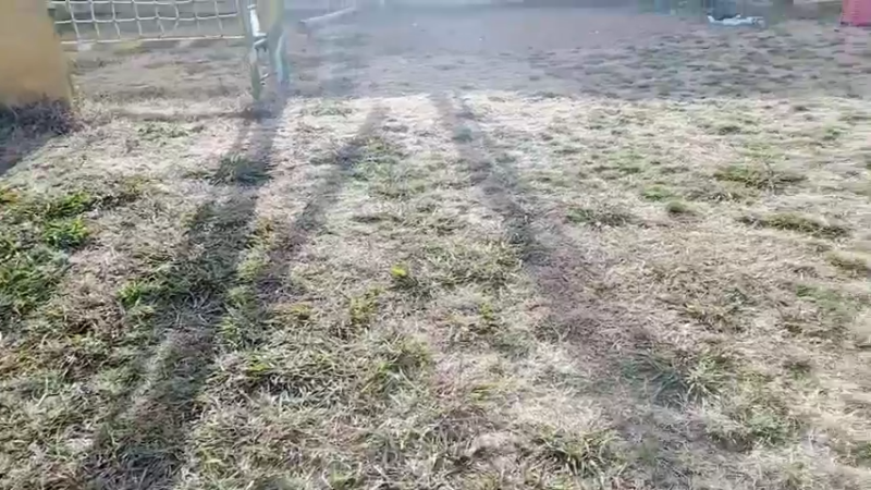 【2022-01-15 09点场】小鱼小鱼吃虾米：《孤勇者》大结局 2158798
