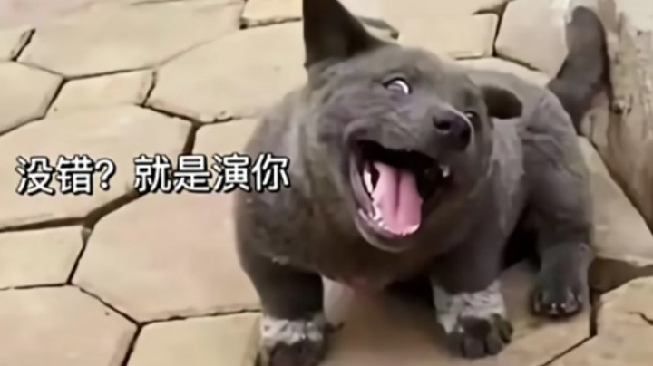 演员的自我修养