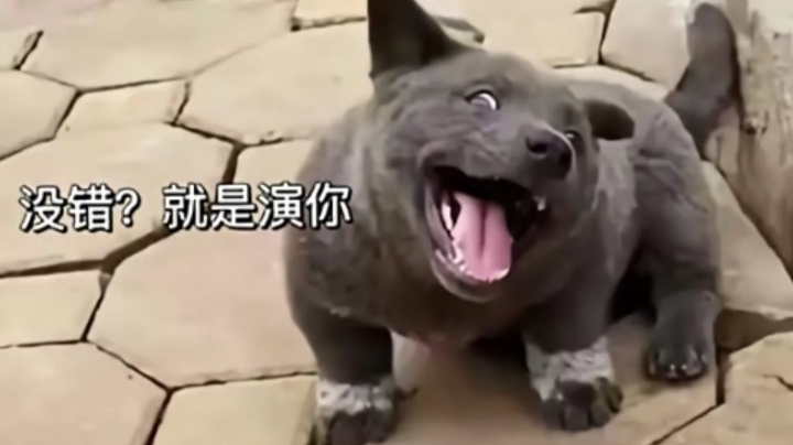 演员的自我修养
