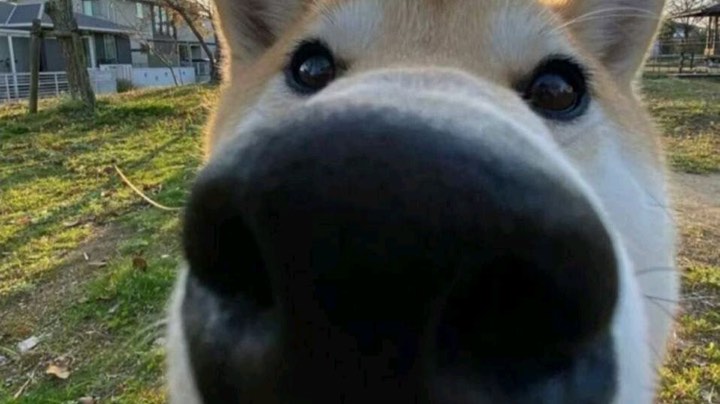 22222