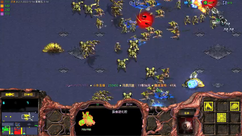 【2022-01-14 03点场】星际DSA联赛：天使風暴™️ 專業版