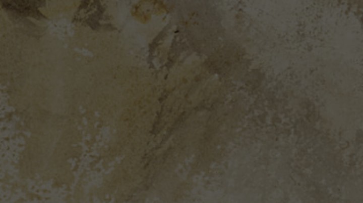 斯德丁国（抗衡诸候