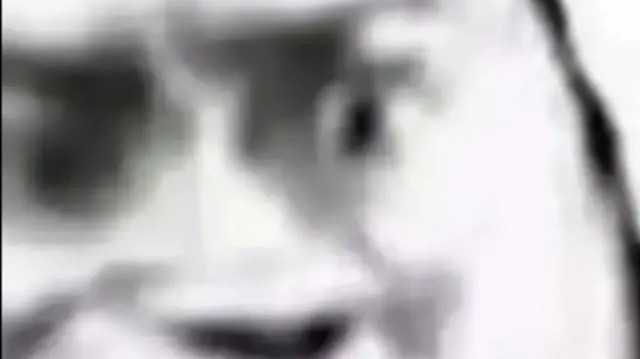 单排