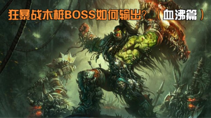 【魔兽雨神（佳琦）】世界排行狂暴战木桩BOSS血沸输出细节分享