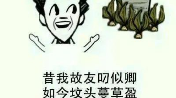 又是展示实力的一天