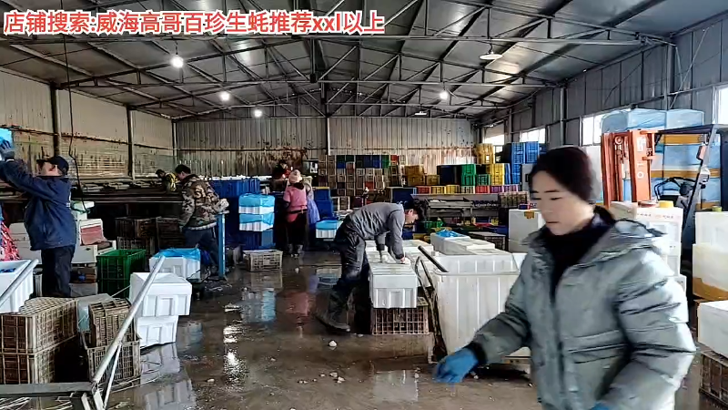 【户外】威海高哥587997的精彩时刻 20220118 15点场