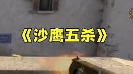 你是不知道沙鹰的神是吧?