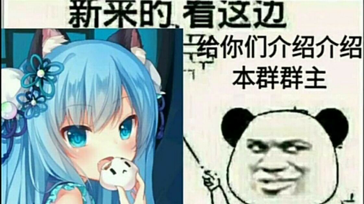 新人