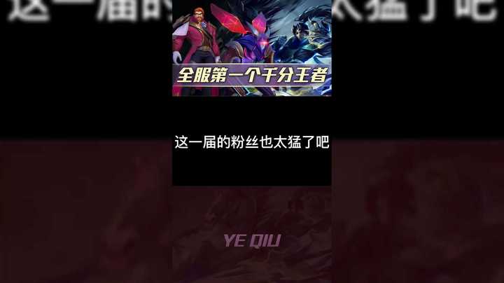 这一届的粉丝也太猛了吧