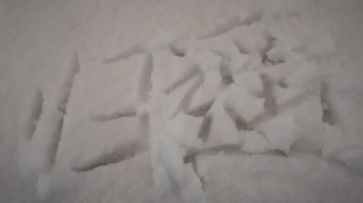 吃鸡战场
