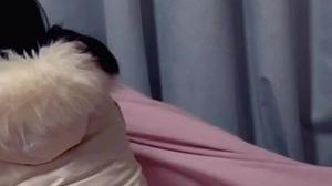 果小果认清自己的第一天，坚持运动的第一天，重新做人的第一天