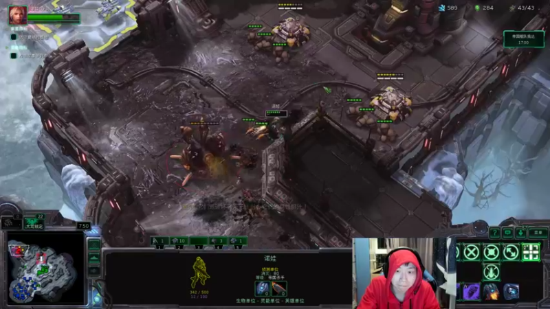 【2022-01-18 20点场】igmacsed：先做作业，然后战役通关