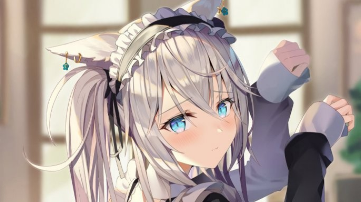 直播录像