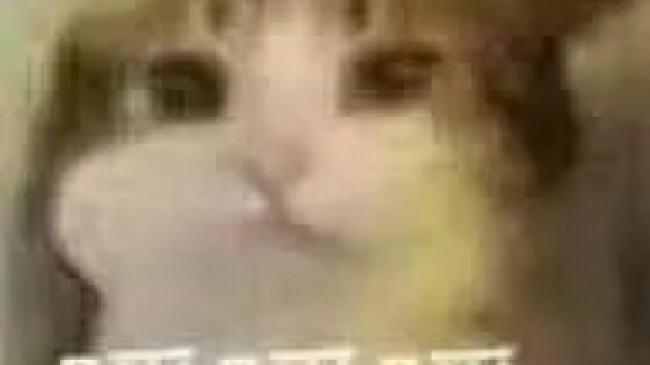 只狼