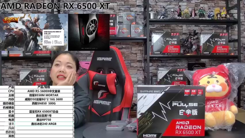 【2022-01-19 22点场】长沙玲姐攒机：AMD RADEON RX 6500XT