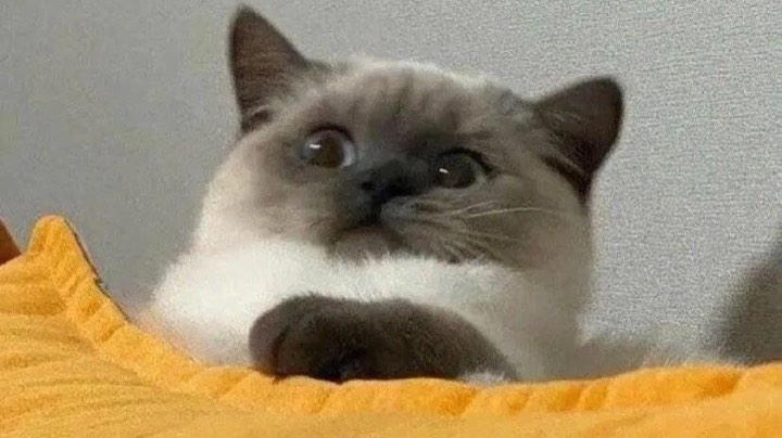 下饭！