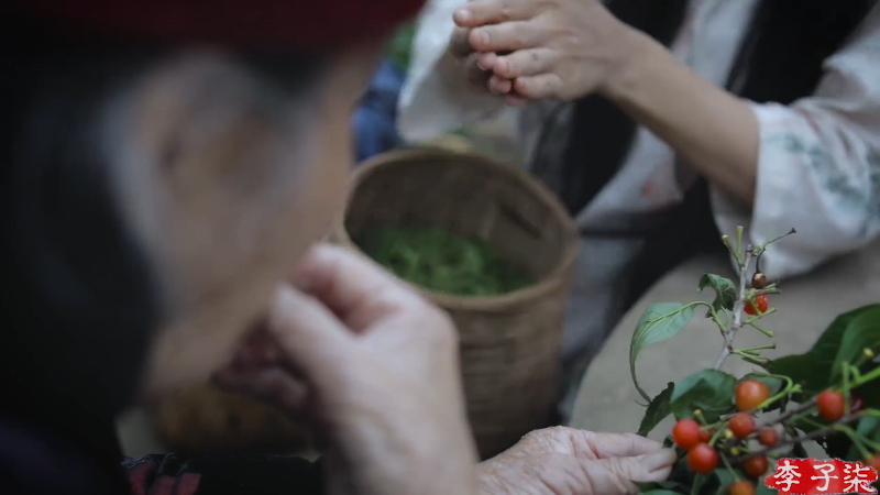 我在斗鱼看李子柒liziqi直播美食